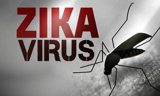 Khuyến cáo nhân viên y tế về virus Zika