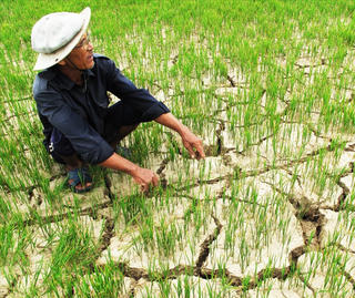 Biến đổi khí hậu - chuyện không còn xa