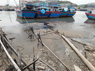 Dân tố nhà máy chế biến cá gây ô nhiễm