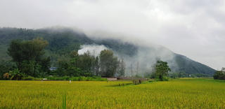 Nhà máy xử lý rác gây ô nhiễm môi trường