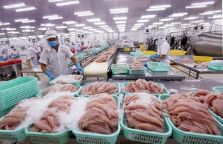 Điều kiện kinh doanh chồng chéo, doanh nghiệp gặp khó