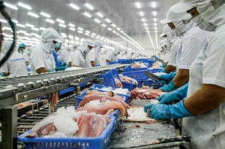 Xuất khẩu sang EU: Những bài học đắt giá