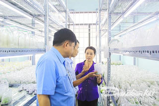 Kon Tum mong muốn trở thành trung tâm dược liệu của cả nước