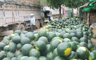 Nguy cơ khan hiếm lương thực dịp cuối năm