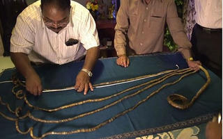 Cắt móng tay sau 66 năm