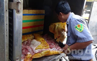 Phát hiện cơ sở biến thịt hôi thành thịt heo rừng