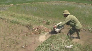 Nỗ lực chống hạn vụ lúa Hè Thu