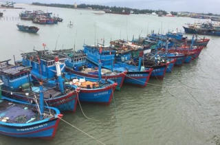 Thực hiện nghiêm lệnh cấm biển