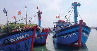 Chỉ một tàu vi phạm cũng khó gỡ thẻ vàng