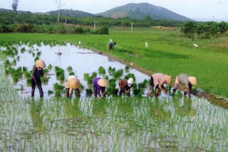 Kiểm tra việc lấy nước gieo cấy vụ Đông Xuân