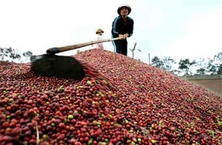 Pháp hỗ trợ 1,1 triệu USD xây chỉ dẫn địa lý nông sản