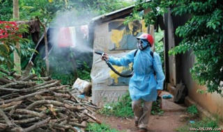 Bộ Y tế chỉ đạo phòng chống dịch bệnh do virus Zika và sốt xuất huyết