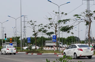 Hậu họa khó lường