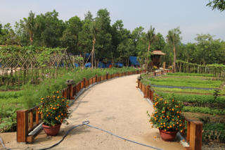 Quảng Nam: Cưỡng chế khu nghỉ dưỡng không phép tại khu vực rừng phòng hộ