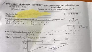 Gợi ý đáp án môn Toán thi tốt nghiệp THPT 2020