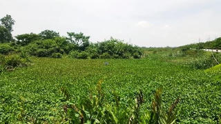 Công an Hải Phòng dùng flycam truy tìm hai nghi can cướp taxi