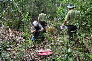Kon Tum: Lâm tặc dùng vũ khí nóng, uy hiếp, đánh nhân viên bảo vệ rừng