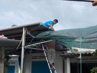 Dân Lý Sơn chằng chống nhà cửa trước khi bão số 9 đổ vào