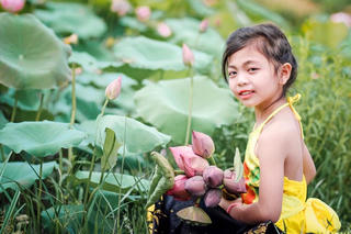Mùa hoa sen