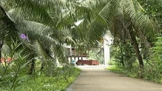 Bến Tre: Hoạt động hiệu quả của Hội Cựu Chiến binh