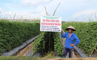 Nông nghiệp Việt Nam đã tạo kết quả ấn tượng