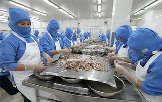 Kiểm soát con tôm