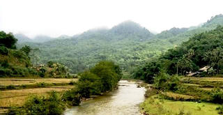 Đi gặt lúa sớm, 2 người bị điện giật thiệt mạng