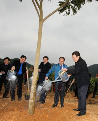 Chủ tịch nước dự Lễ phát động Tết trồng cây