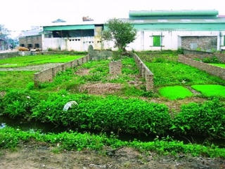 Trình tự thực hiện hợp thửa đất thủ tục thế nào?