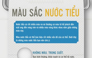 [Inforgraphics]: Tiết lộ sức khỏe qua 11 màu nước tiểu