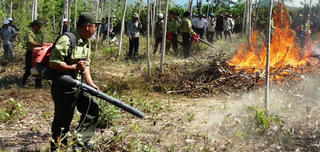 Chủ động phòng cháy, chữa cháy rừng