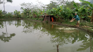 Lục Yên (Yên bái): Nhân lên điểm sáng khu dân cư văn hóa