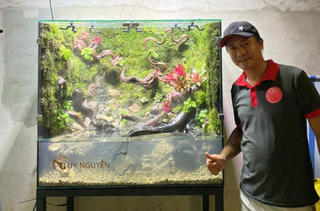 Từ bỏ công việc 'vạn người mơ', 8x khởi nghiệp từ đam mê với thủy sinh