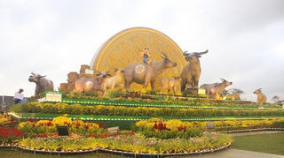 Bình Định: Khánh thành biểu tượng linh vật Tân Sửu - 2021
