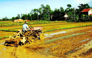 Quảng Ngãi: Đẩy mạnh cơ giới hóa trong sản xuất nông nghiệp
