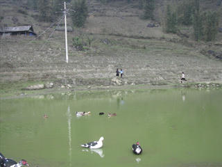 Bảo vệ tài nguyên nước bền vững