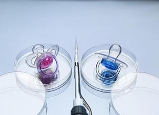 Đi thụ tinh nhân tạo, cặp vợ chồng phát hiện là anh em sinh đôi