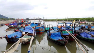 Hà Tĩnh: Chủ tịch xã phải chịu trách nhiệm nếu để lúa bị úng ngập