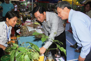 Hơn 50 gian hàng tại phiên chợ sâm Ngọc Linh đầu tiên