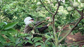 Võ Nhai nỗ lực thoát nghèo