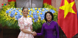 Đưa quan hệ hợp tác song phương Việt Nam - Thụy Điển  đi vào chiều sâu hiệu quả