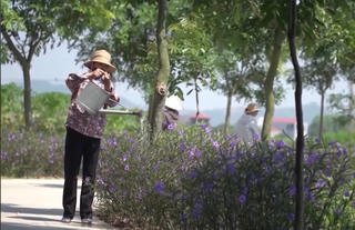 Hiệu quả từ những mô hình tự quản ở khu dân cư