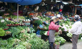 CPI tháng 1/2016 không tăng so với tháng 12/2015