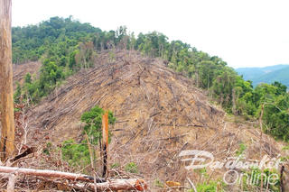 Giám sát chặt các khu rừng trọng điểm có nguy cơ bị lấn chiếm, bị phá
