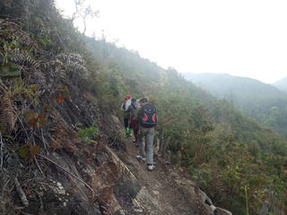 Khai thác tận diệt, cạn kiệt dược liệu - Bài 1: Đổ xô đi 'săn' thuốc quý