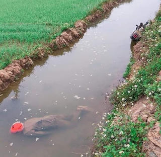 Người đàn ông gục chết dưới mương nước