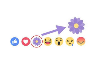 Facebook dùng 'bông hoa tím' chào mừng Ngày của mẹ