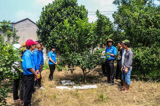 Xây dựng nông thôn mới tại huyện Đồng Hỷ, Thái Nguyên: Quyết liệt triển khai đến từng hộ gia đình