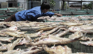 Mặn mòi làng cá khô