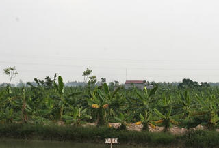 Xã làm sai,  dân chịu thiệt